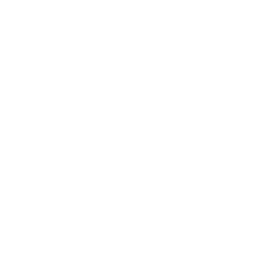 Superliga Play-offs Logo