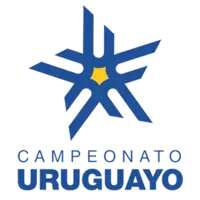 Primera Division Logo