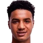 Armstrong Okoflex