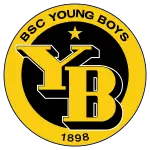 Young Boys U19